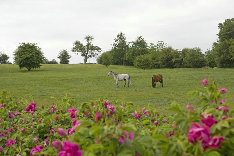 Cjp_2010_05_27_170856 (2).jpg